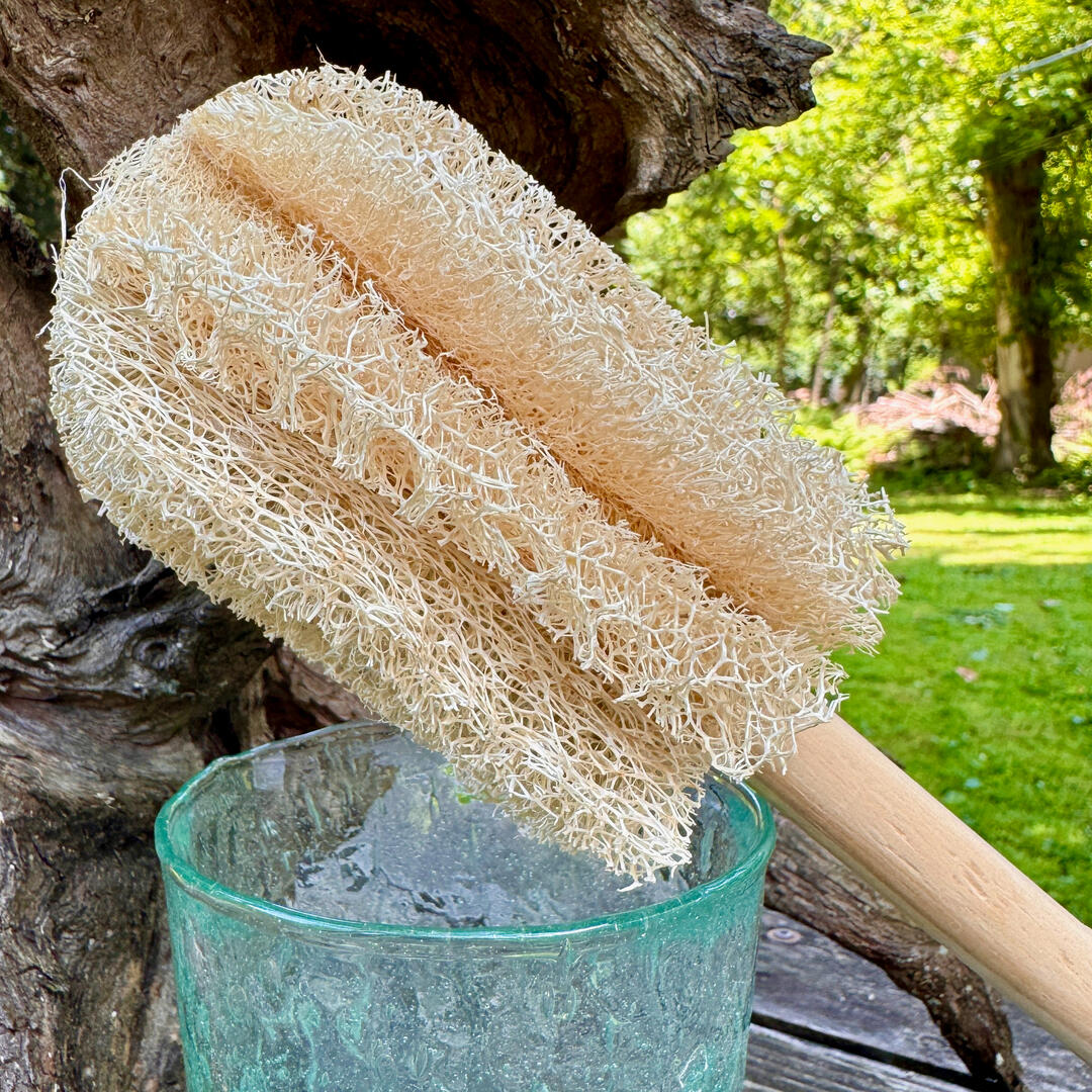 A loofah cleaning wand with wooden handle on top of a green drinking glass