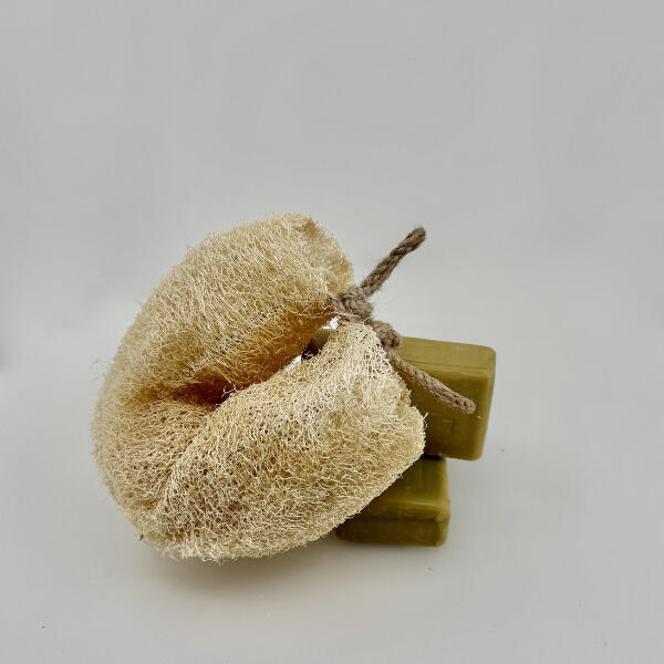 Loofah sponge with bars of soap