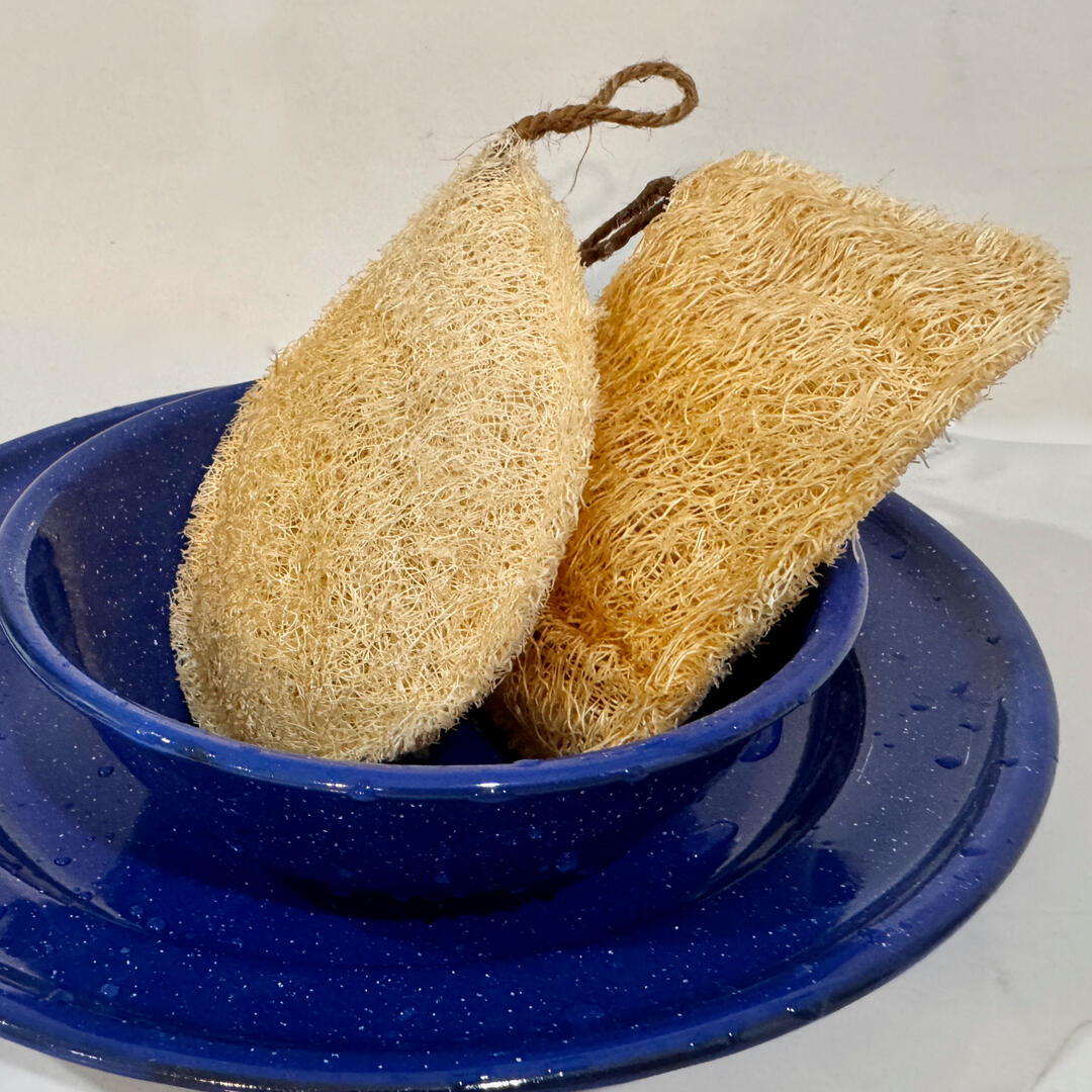 Two dish sponge inside a blue bowl with a blue plate underneath