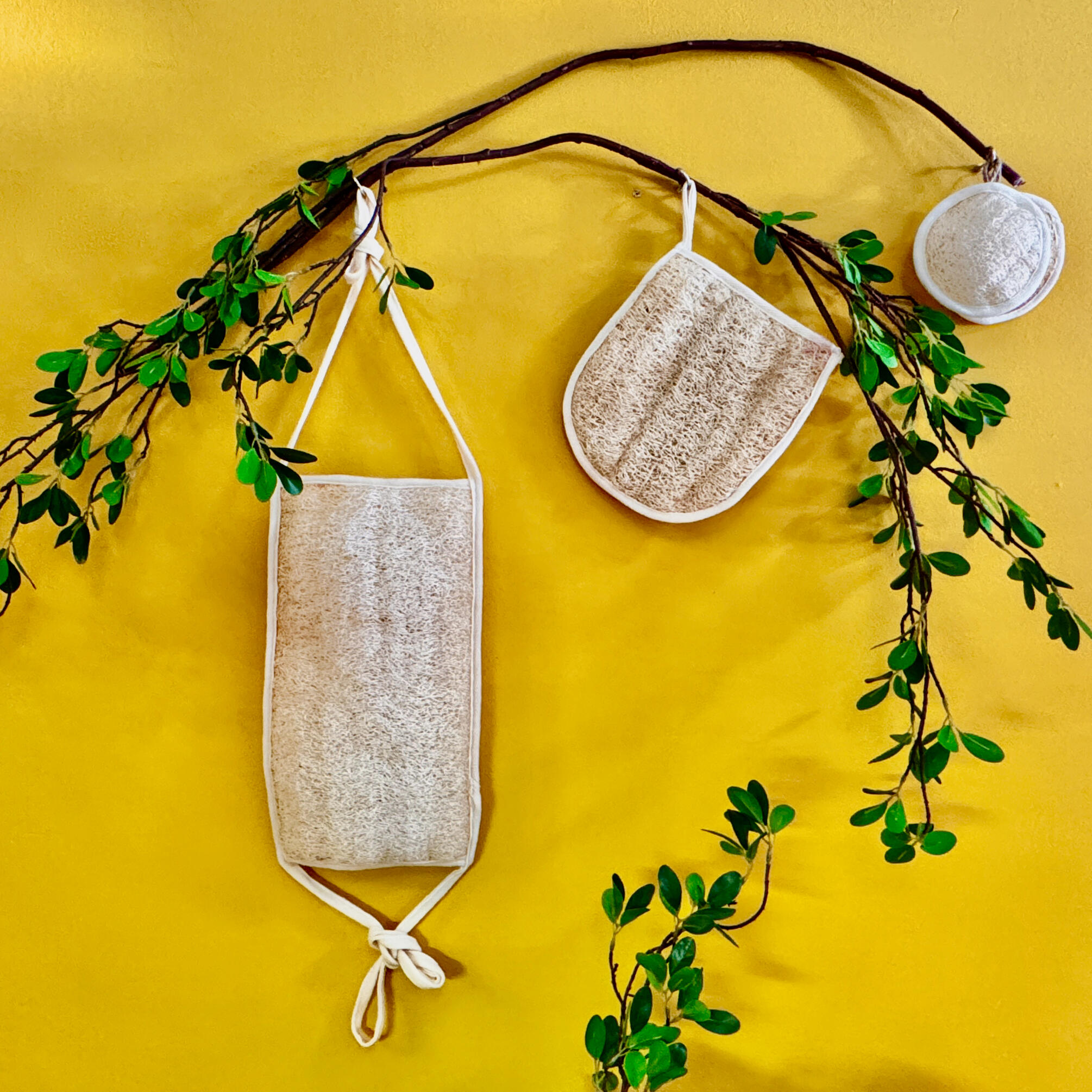 Back scrub, exfoliate mitten, and soft massage pad hanging from a branch with green leaves, yellow wall background